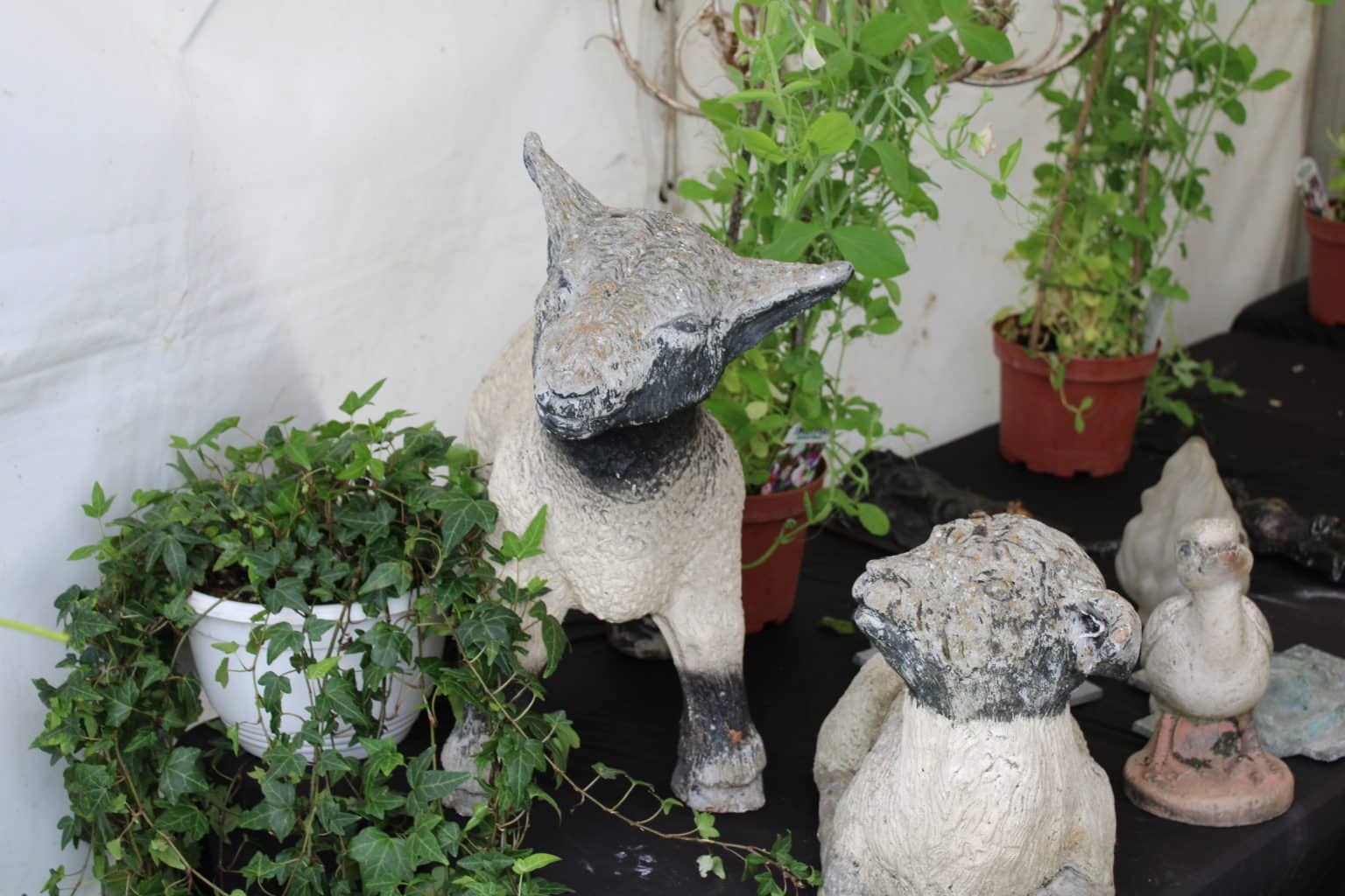 2022 Antiques Fairs Dates iacf antiques fairs